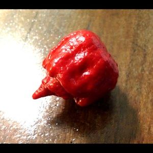 Meet your Posher, Jdub